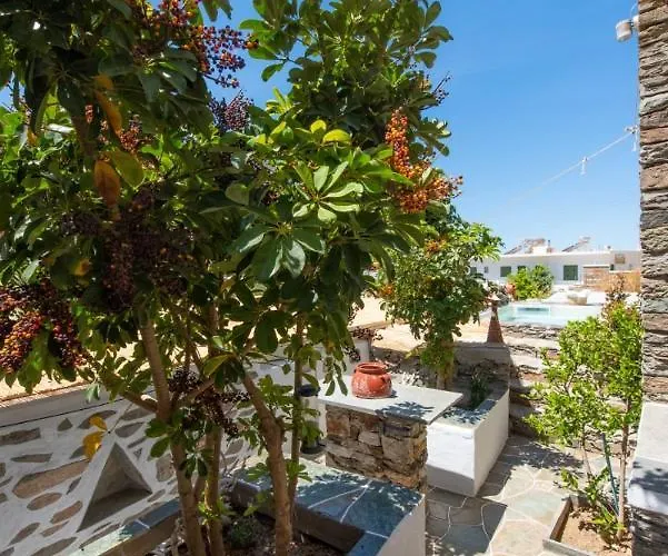 Πανσιόν ηλιοφέγγαρο 3*